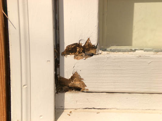 Wood Rot Repair in Kansas City